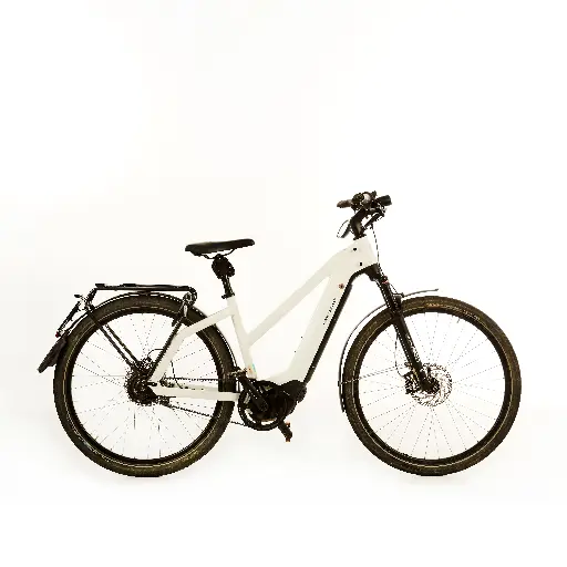 speed pedelec Riese & Müller Charger