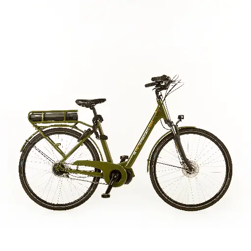 elektrische fiets