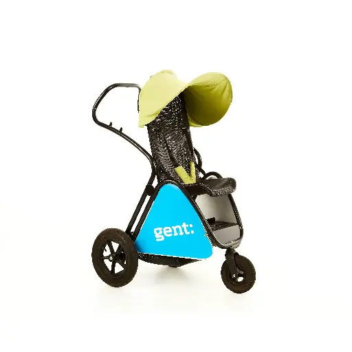 buggy